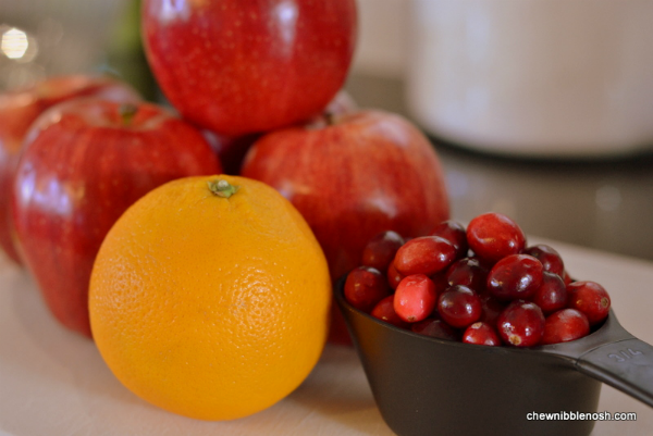 Cranberry Orange Apple Crisp 2 - Chew Nibble Nosh