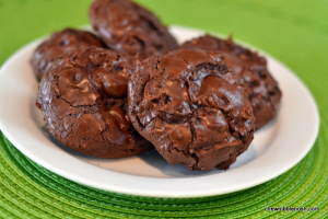 Flourless Double Fudge Cookies - Chew Nibble Nosh