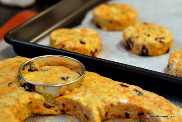 Sweet Potato and Cranberry Scones with Brown Sugar Icing - Chew Nibble Nosh 4