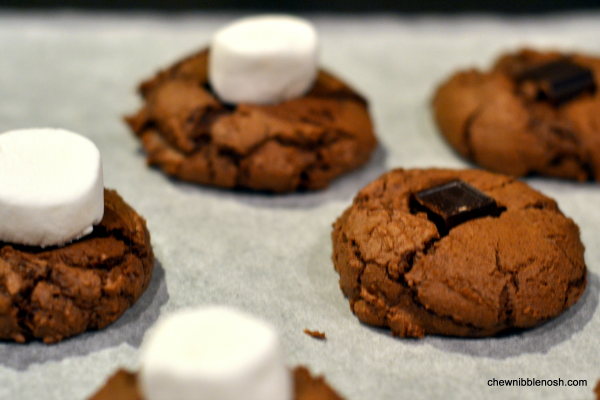 Hot Cocoa Cookies with Marshmallows - Chew Nibble Nosh 4