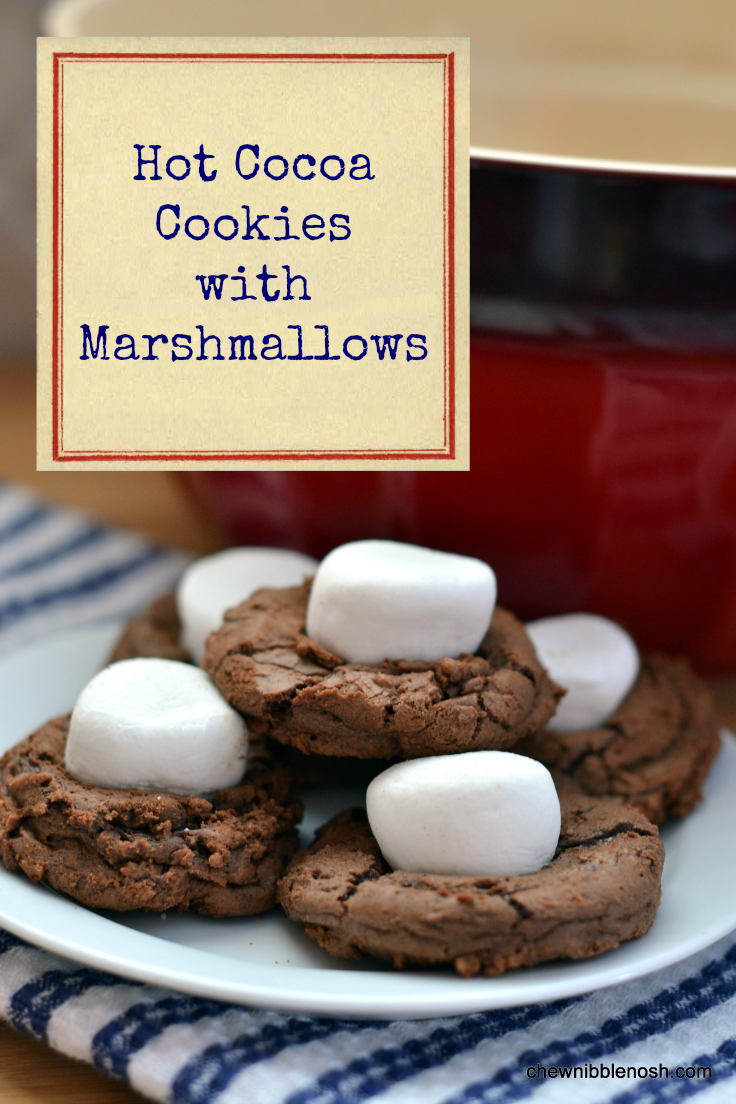 Hot Cocoa Cookies with Marshmallows - Chew Nibble Nosh