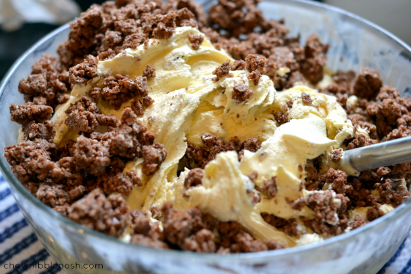 Chocolate Peanut Butter Crunch Ice Cream Cake - Chew Nibble Nosh 5