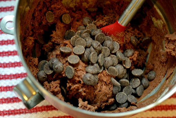 Double Chocolate Peppermint Crunch Cookies - Chew Nibble Nosh 3