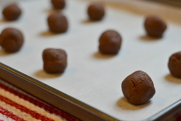 Double Chocolate Peppermint Crunch Cookies - Chew Nibble Nosh 4