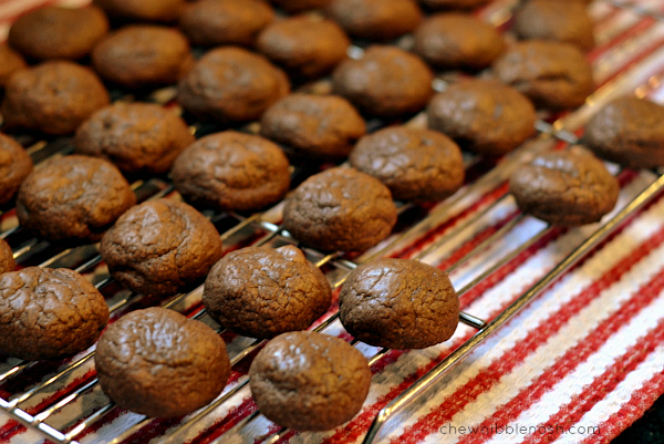 Double Chocolate Peppermint Crunch Cookies - Chew Nibble Nosh 5