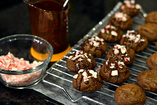 Double Chocolate Peppermint Crunch Cookies - Chew Nibble Nosh 6