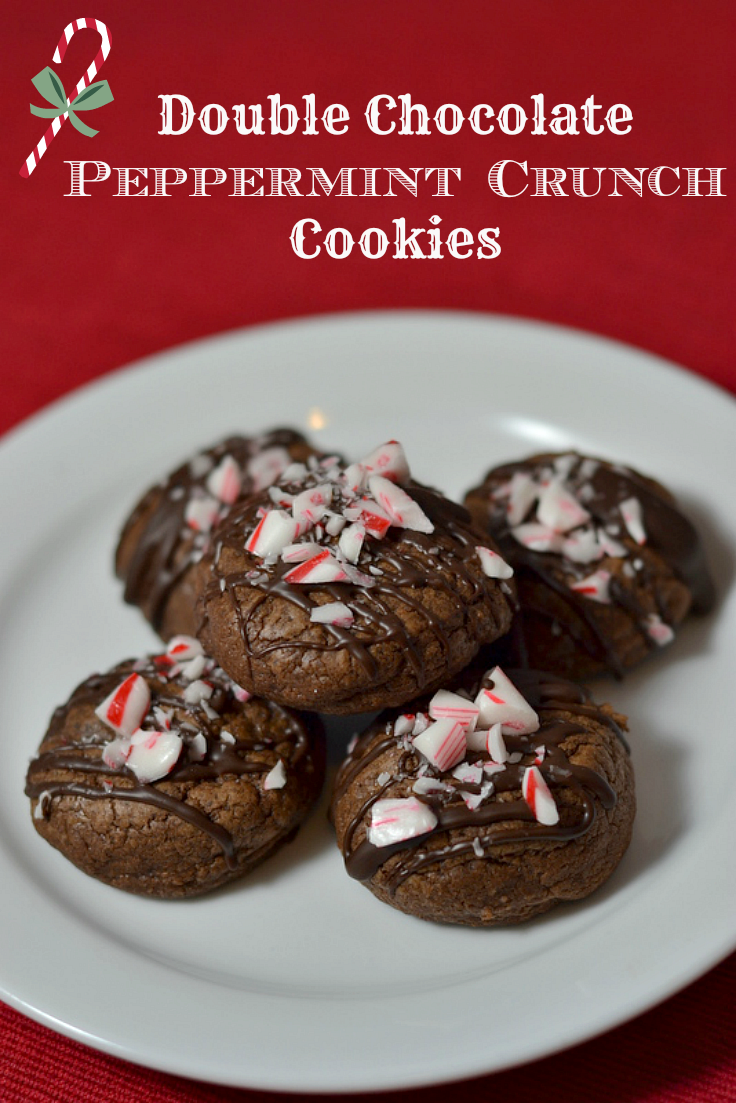 Double Chocolate Peppermint Crunch Cookies - Chew Nibble Nosh