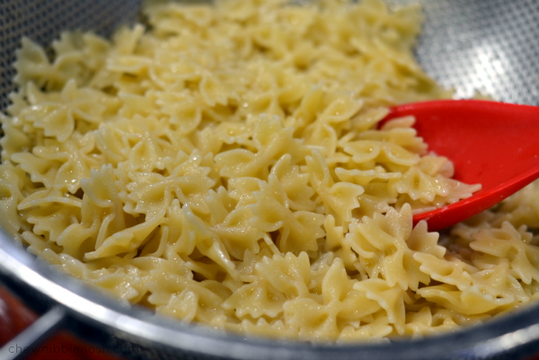 Lasagna Soup - Chew Nibble Nosh 1