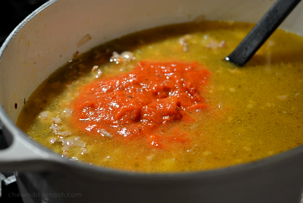 Lasagna Soup - Chew Nibble Nosh 3