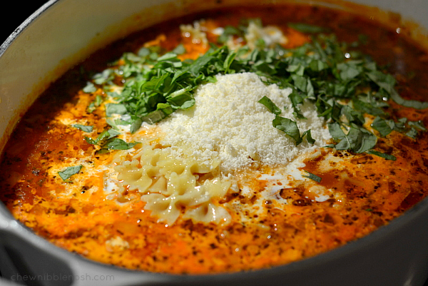 Lasagna Soup - Chew Nibble Nosh 4