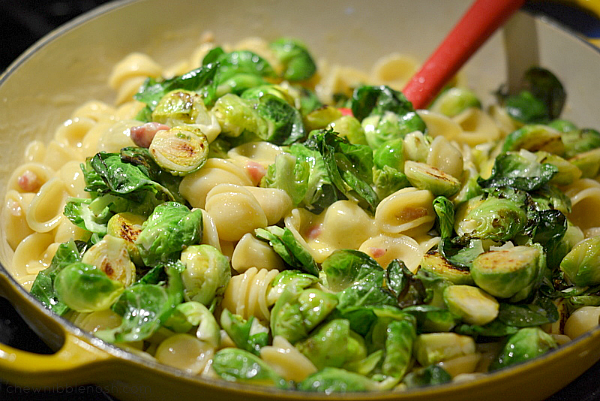 Orecchiette Carbonara with Brussels Sprouts - Chew Nibble Nosh 4