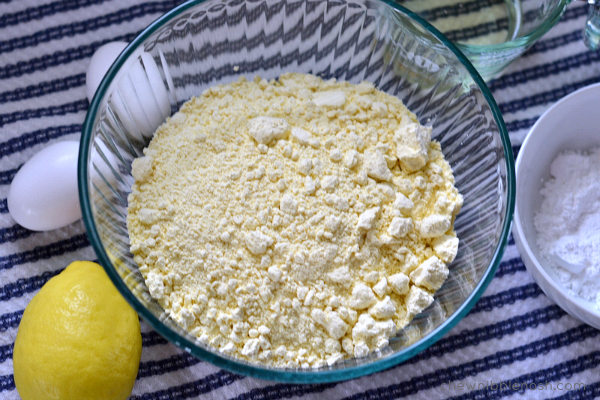 Easy Lemon Crinkle Cookies - Chew Nibble Nosh 1