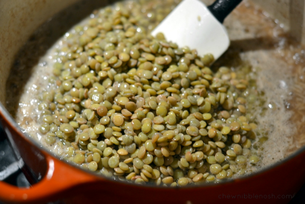 Mujaddara - Rice and Lentils with Crispy Onions - Chew Nibble Nosh 7