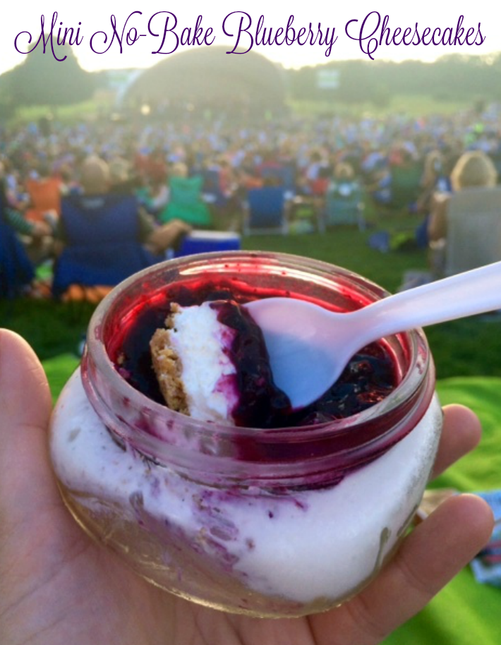 Mini No-Bake Blueberry Cheesecakes - Chew Nibble Nosh