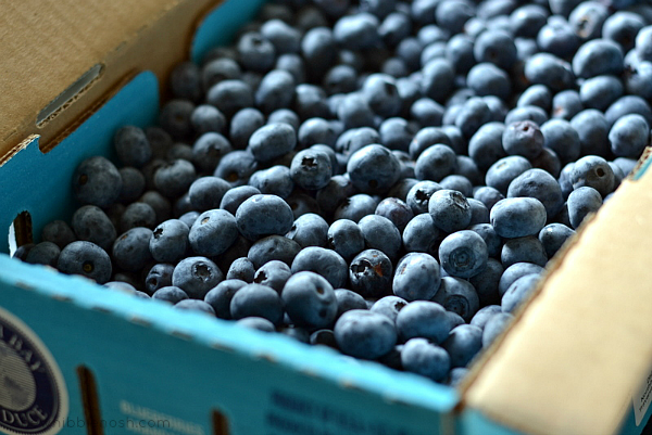 Mini No-Bake Blueberry Cheesecakes - Chew Nibble Nosh 1